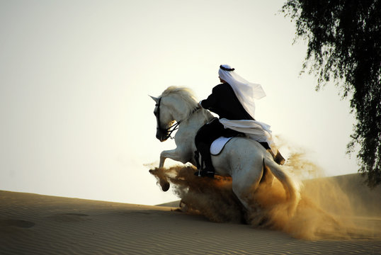 arabian horse and rider