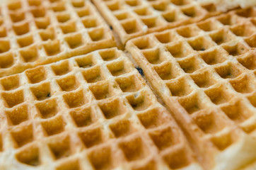 Close up macro view of ridges in a blueberry waffle breakfast food