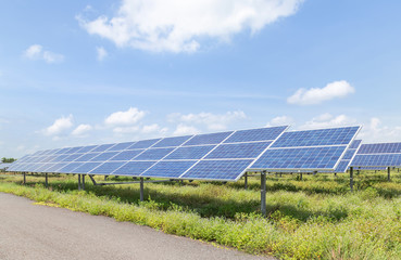 rows array of solar cells or photovoltaics in solar power station alternative clean renewable energy under blue sky
