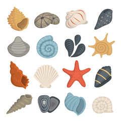 Sea shell vector icons in cartoon style. Set of clam mollusc. Ocean cockleshell.