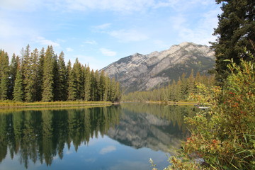 Fototapeta na wymiar Peace Along The Bow River, Banff National Park, Alberta