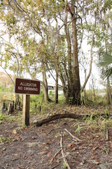 Alligator No Swimming Sign