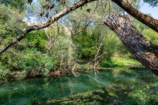 Scenery calm riverbed in natural parkland, the ecological reserve of Zlatna Panega river in Northern Bulgaria, green water with reflections, sunny autumn day