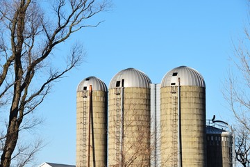 Four Silos
