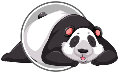 A panda sticker template