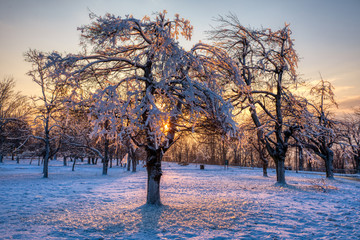Niagara Falls State Park, NY