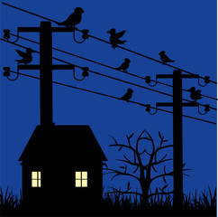 Night landscape with house and electric pole with bird