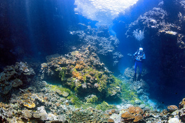 Male Scuba Diver with camera in underwater swimthrough