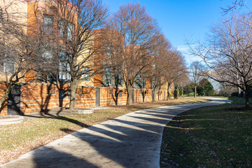 Grass and Tree Lined Path with Residential Buildings in Edgewater Chicago