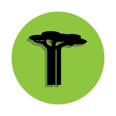 Madagascar baobab tree in green badge icon