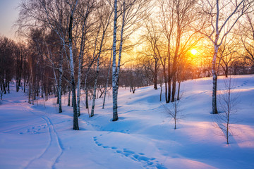 Red sunset in frozen winter forest