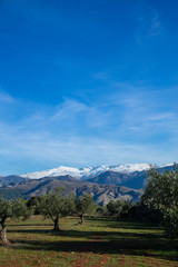 paisaje la alpujarra de granada