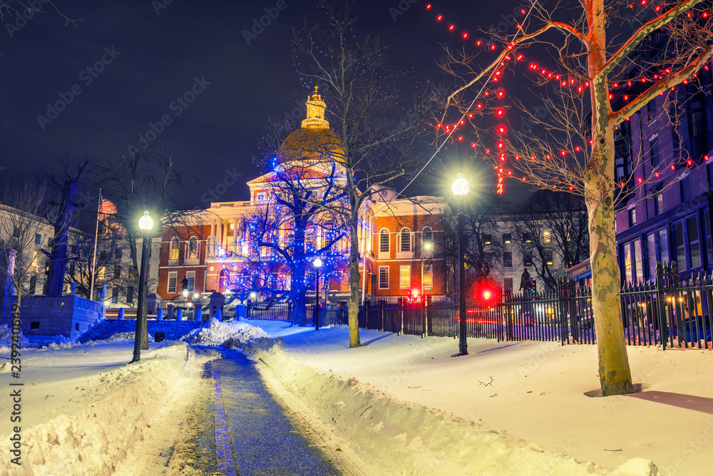 Wall mural boston public garden and state house illuminated for christmas