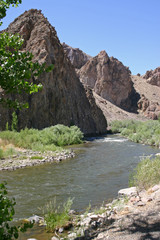 Plants Cluster Around Desert River to Survive