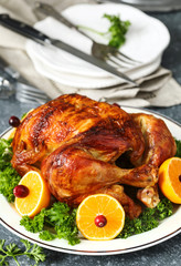 Roasted chicken served with citrus and cranberry on plate