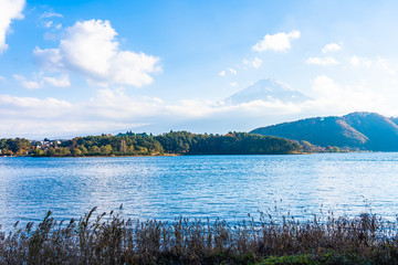 Beautiful landscape of mountain fuji with maple leaf tree around lake