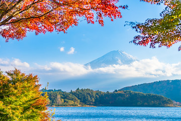 Fototapeta premium Beautiful landscape of mountain fuji with maple leaf tree around lake
