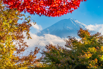 Beautiful landscape of mountain fuji with maple leaf tree around lake