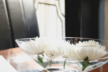 white flower on the water in glass vase over the wooden table. Cafe decoration
