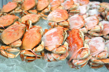 Frozen cooked red crab on the ice for sale