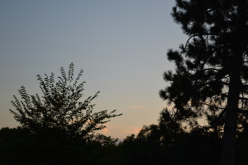 Fototapeta premium Sunset2