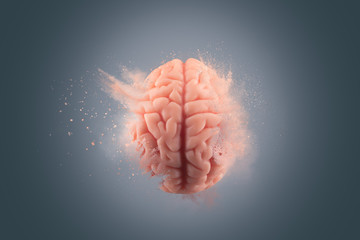 Human brain on a gray background