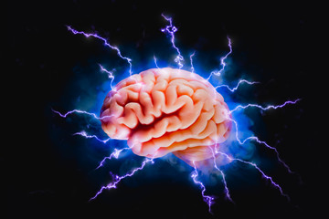 Human brain on a gray background