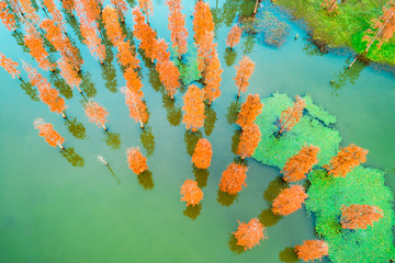 Colorful autumn forest and quiet lake scenery in the nature park,aerial view