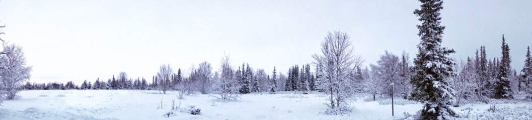 Panorama view of Beautiful winter landscape in the in the winter season at Lovozero, north of Russia.