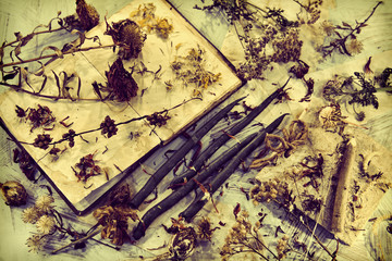 Old diary book, green candles, dried seeds and aster flowers on vintage table. Magic ritual. Wicca,...