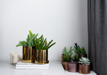 Composition of gold mirror ceramic pots with artificial plants inside setting on minimal books and group of copper aluminium pots in natural light setting scene / cozy interior concept / decoration 