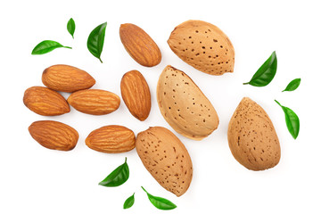 almonds with leaves isolated on white background. Flat lay pattern. Top view