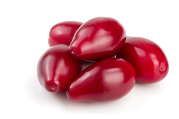 Red berries of cornel or dogwood isolated on white background