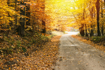 Fototapeta na wymiar Fall background. Autumn country road color tour. Bright and cozy warm. Wishfull happiness.