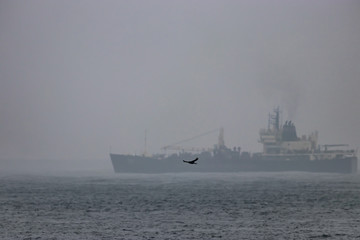 Obraz premium crow flys by a large boat in the pacific ocean