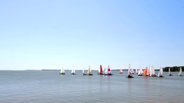 Catamarans go in the regatta by sea 014 / Catamarans are in the regatta on the Ob sea