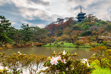 beautiful Sankeien garden with Tomyoji former three storied pagoda, flowers and water in Yokohama,...