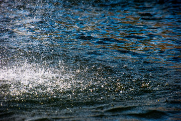 Background with splashes on the water surface
