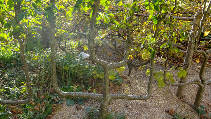 Beauvais city is a beautiful place