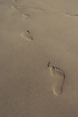 footprints in the sand by the sea