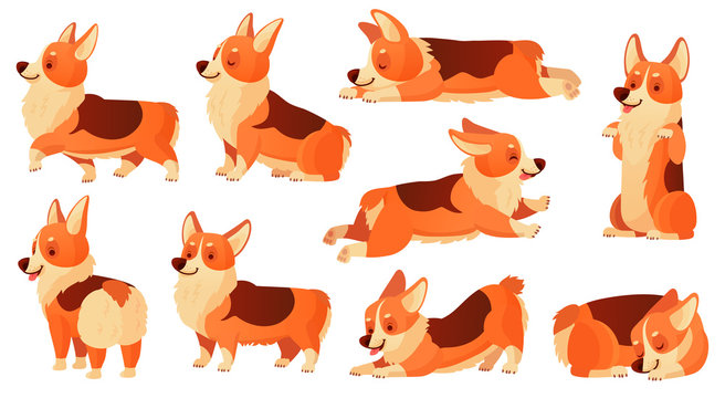Cartoon dog character. Sleeping corgi dogs poses, pedigree dog fitness sport exercise and relaxing pet yoga pose isolated vector set