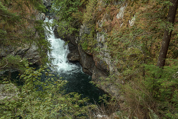 deepblue pool and green forest with waterfall