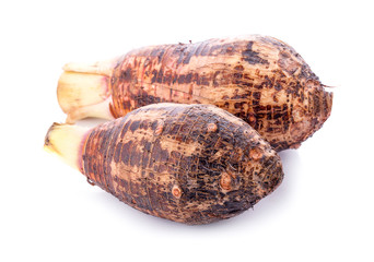 taro isolated on white background