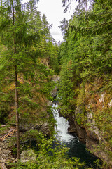 pool and green tall forest with waterfalling