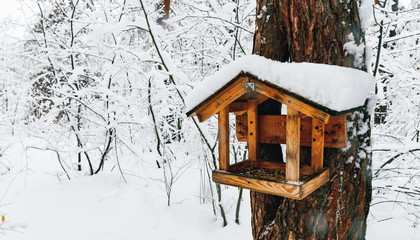 Bird feeder in snowy park copy space