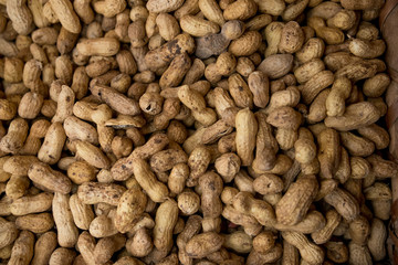 Peanut in shell and peeled peanuts closeup. Background with peanuts.