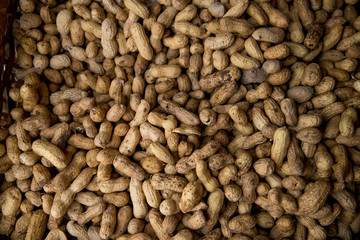 Peanut in shell and peeled peanuts closeup. Background with peanuts.