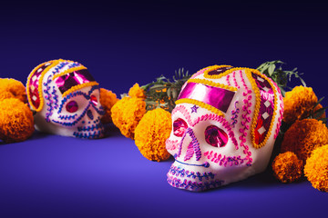 sugar skulls in a purple background