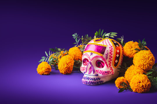 sugar skull in a purple background