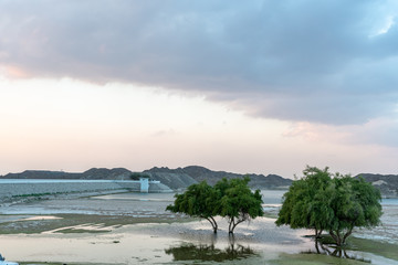 United Arab Emirates mountains view form Wadi Al Qor to Buraq Dam highest place around 800 meters